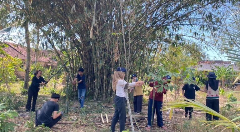 WhatsApp Image 2025-07-21 at 14.45.57