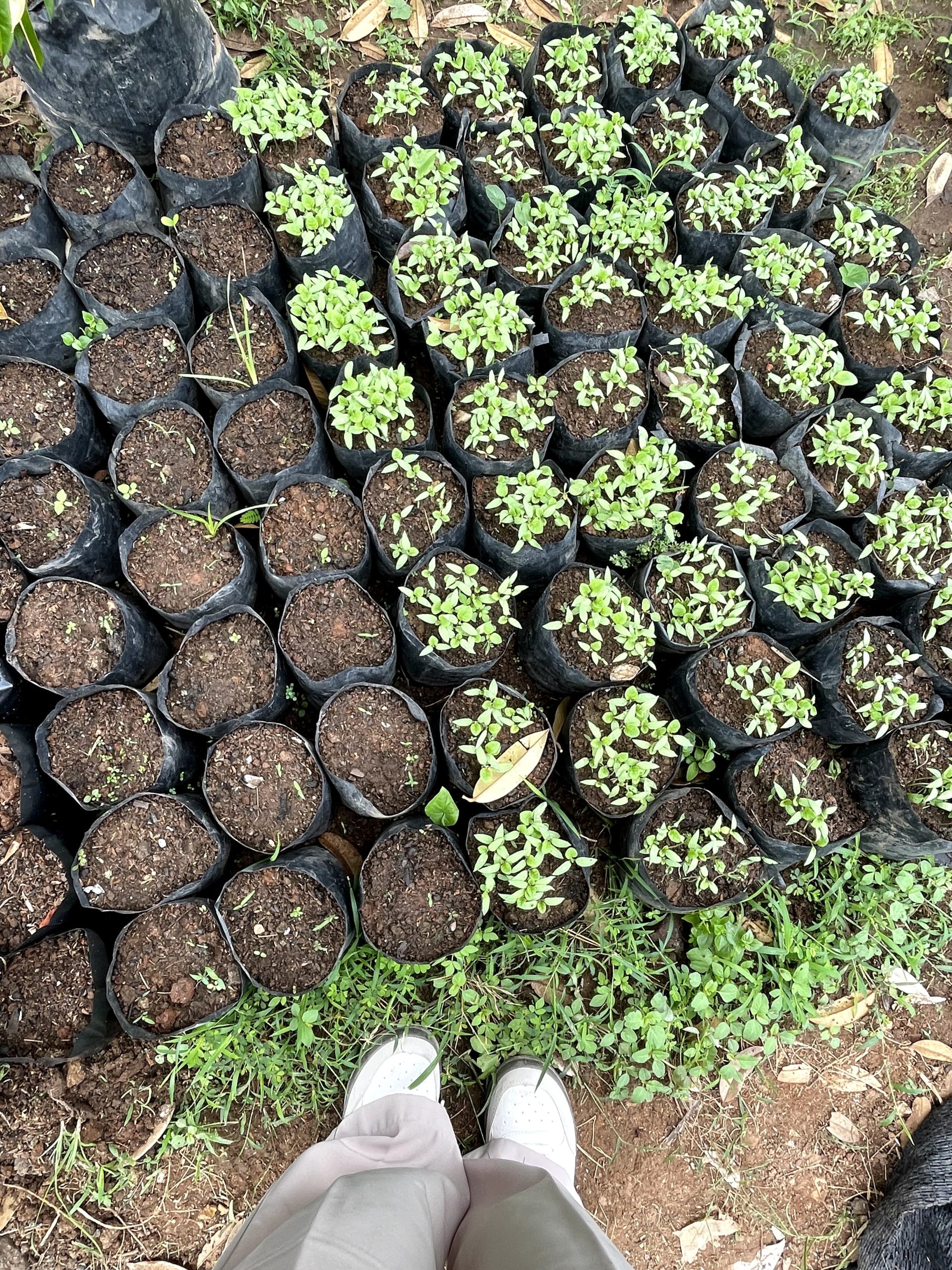 WhatsApp Image 2025-07-27 at 21.47.11