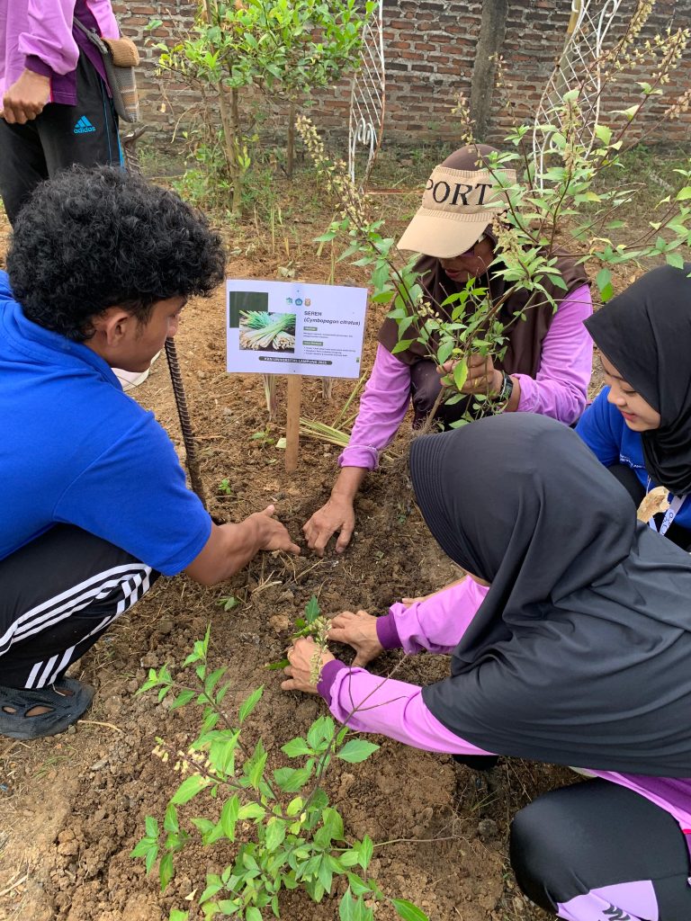 nanam toga dengan ibu