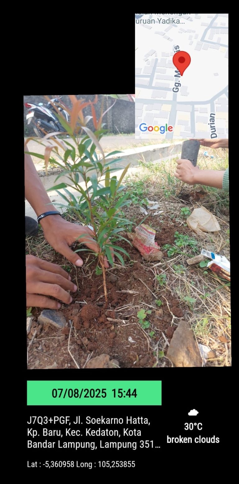 32657f10-dd90-44bc-b0d6-e81f07fa4cdf