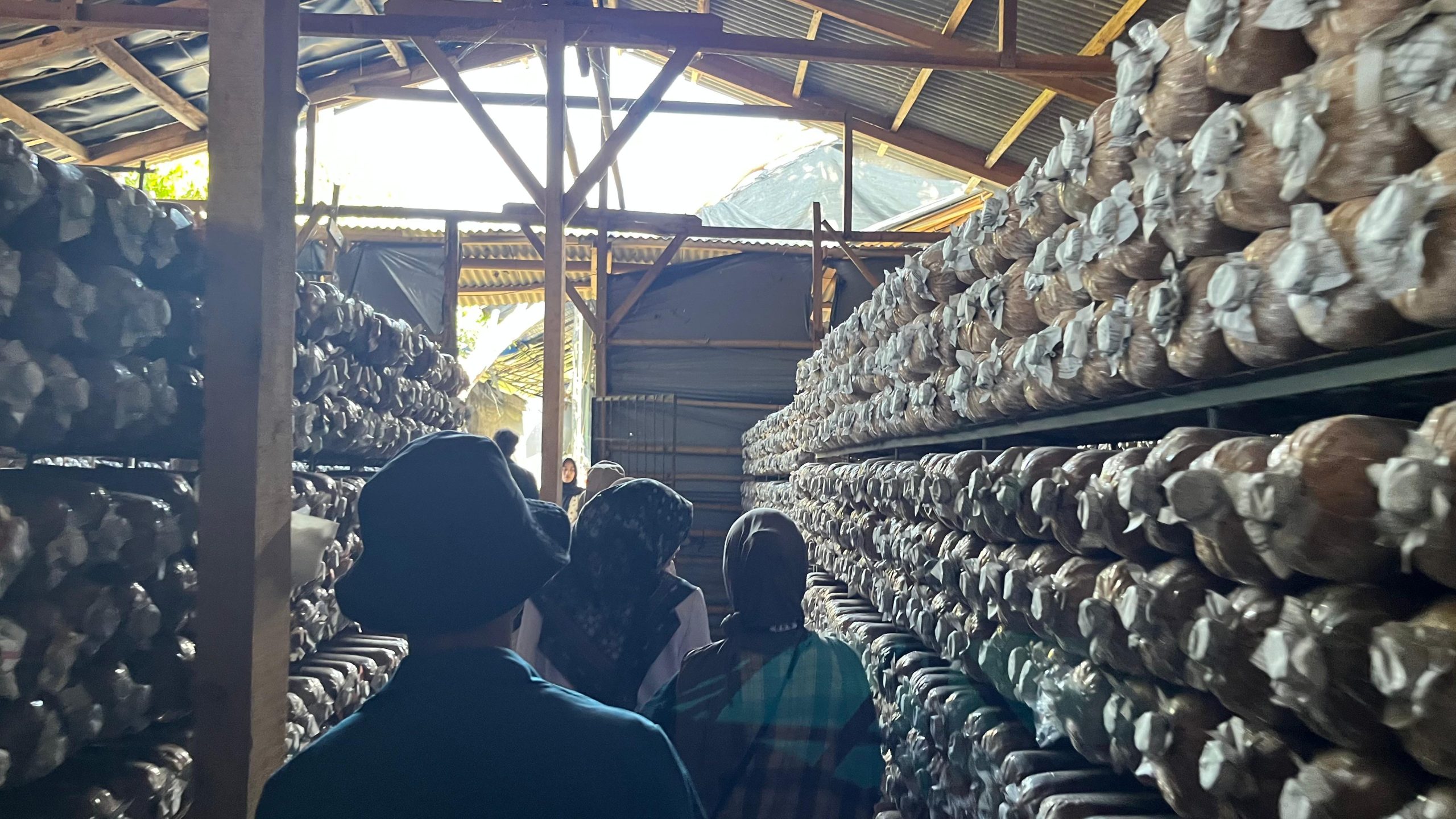 Gambar WhatsApp 2025-08-06 pukul 13.08.09_a44a5e28