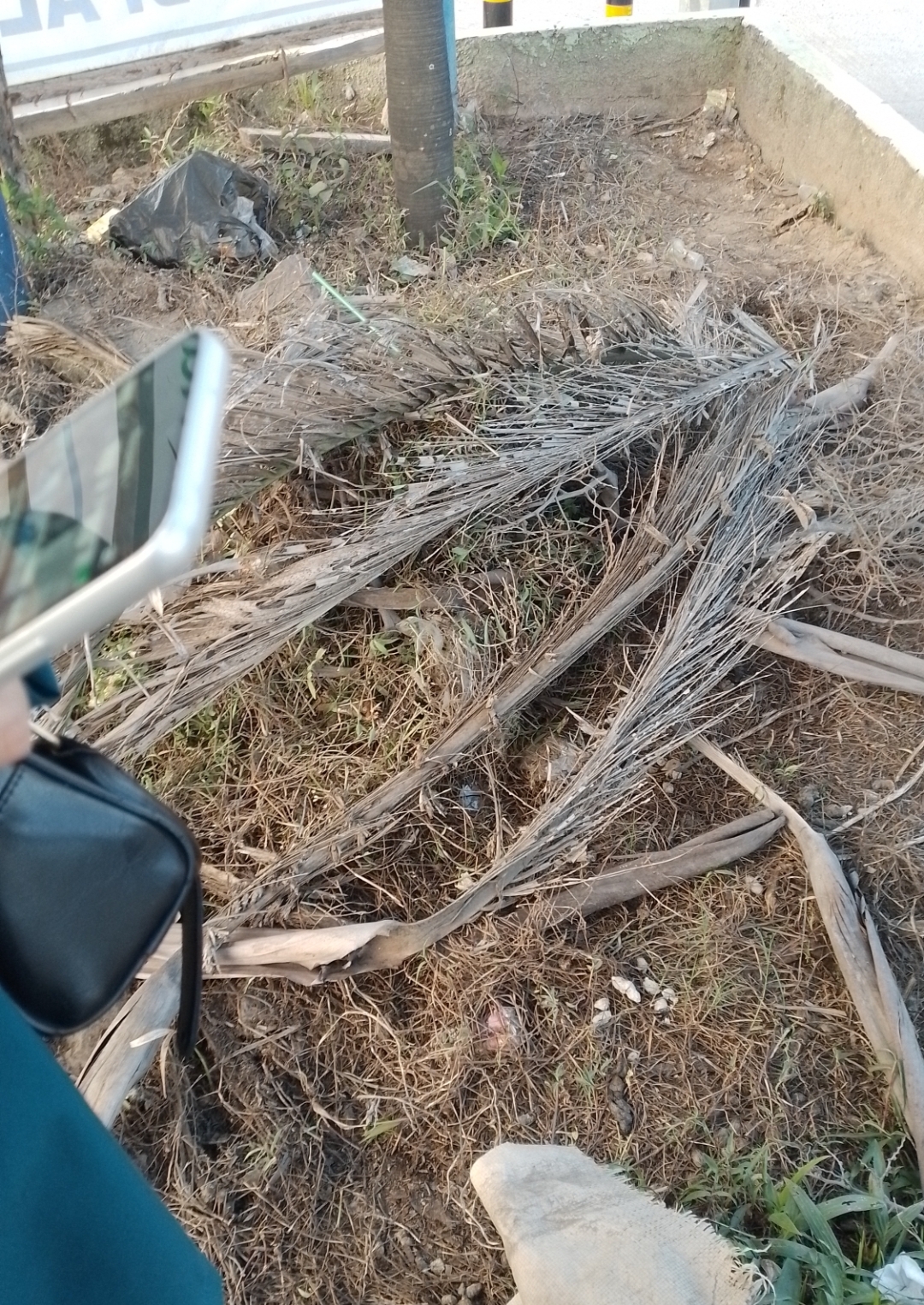 Screenshot_20250817_225952_Drive