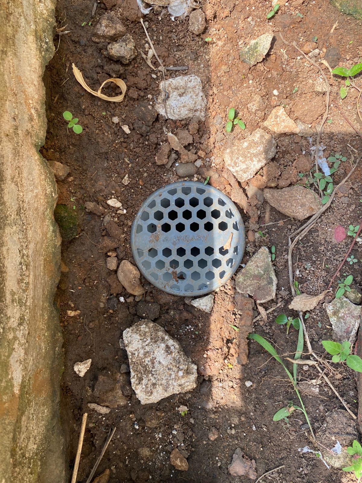 WhatsApp Image 2025-08-06 at 13.01.44