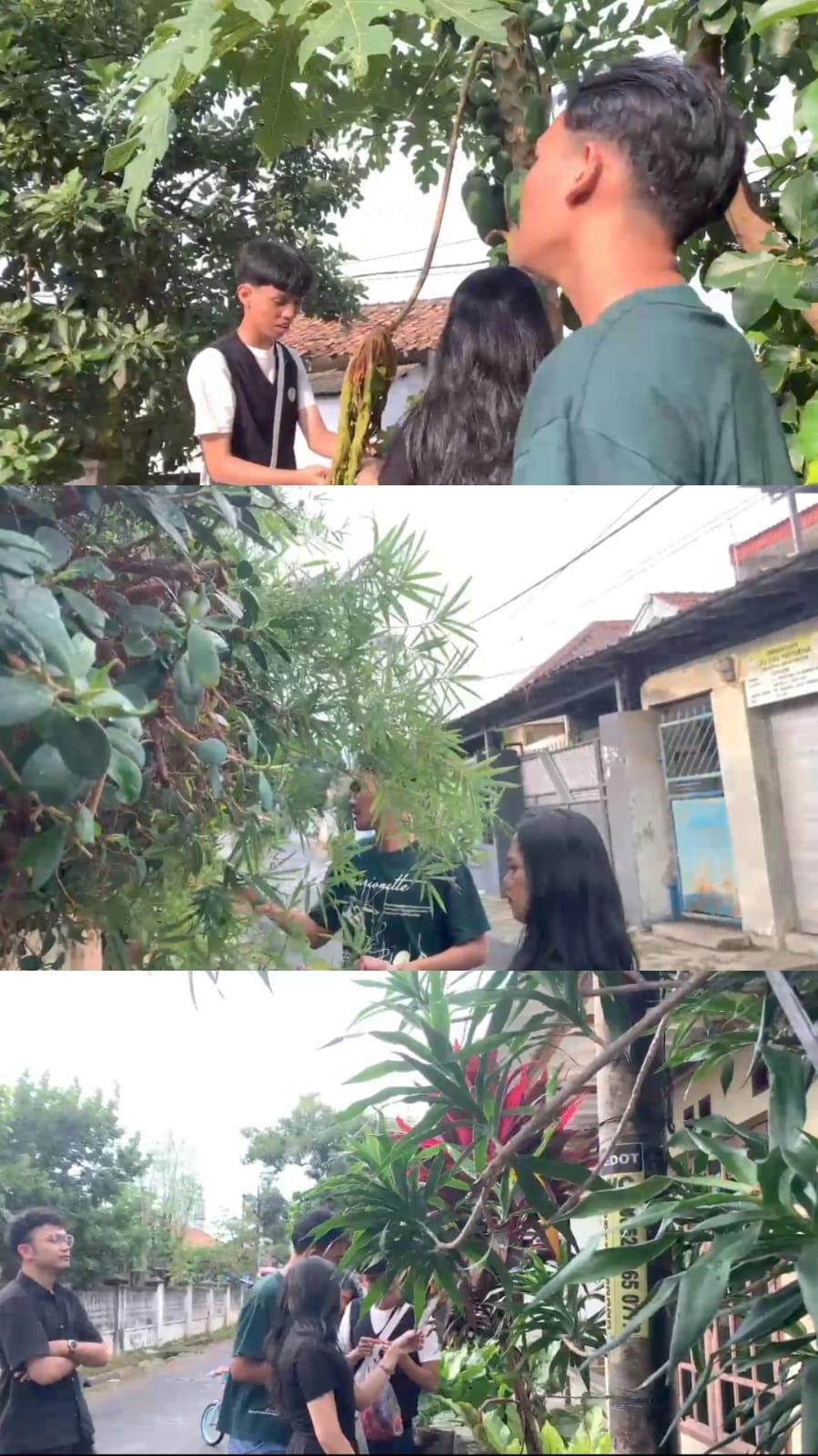 WhatsApp Image 2025-08-06 at 18.13.22_d164a4e8