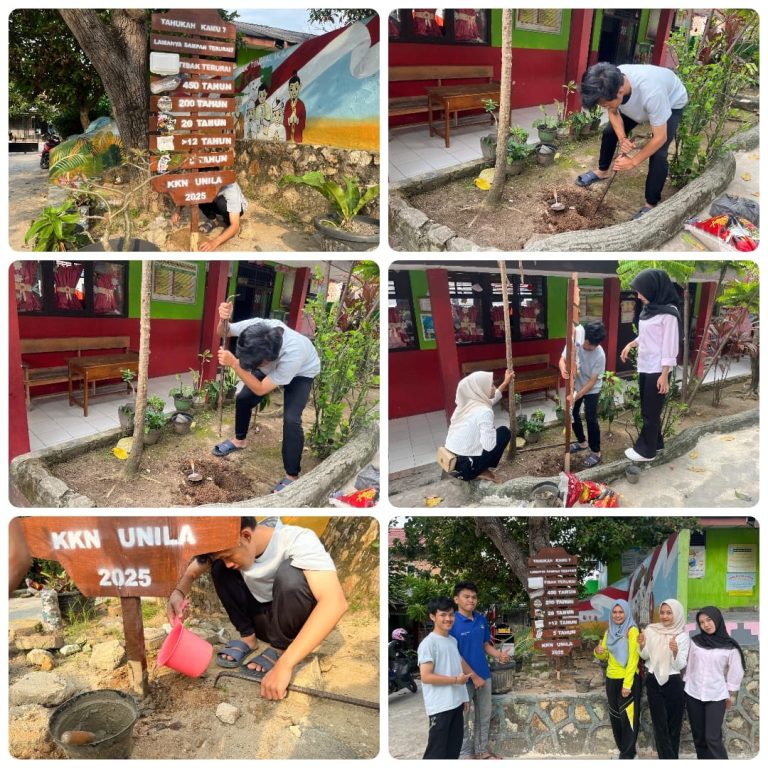 WhatsApp Image 2025-08-15 at 21.33.32