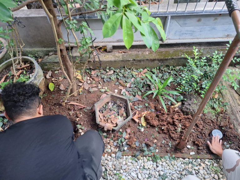 WhatsApp Image 2025-08-18 at 01.38.03