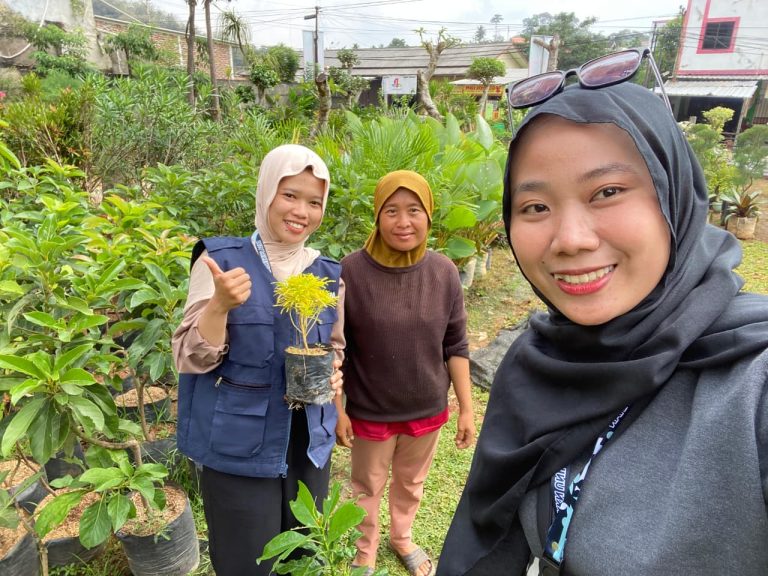 beli bibit