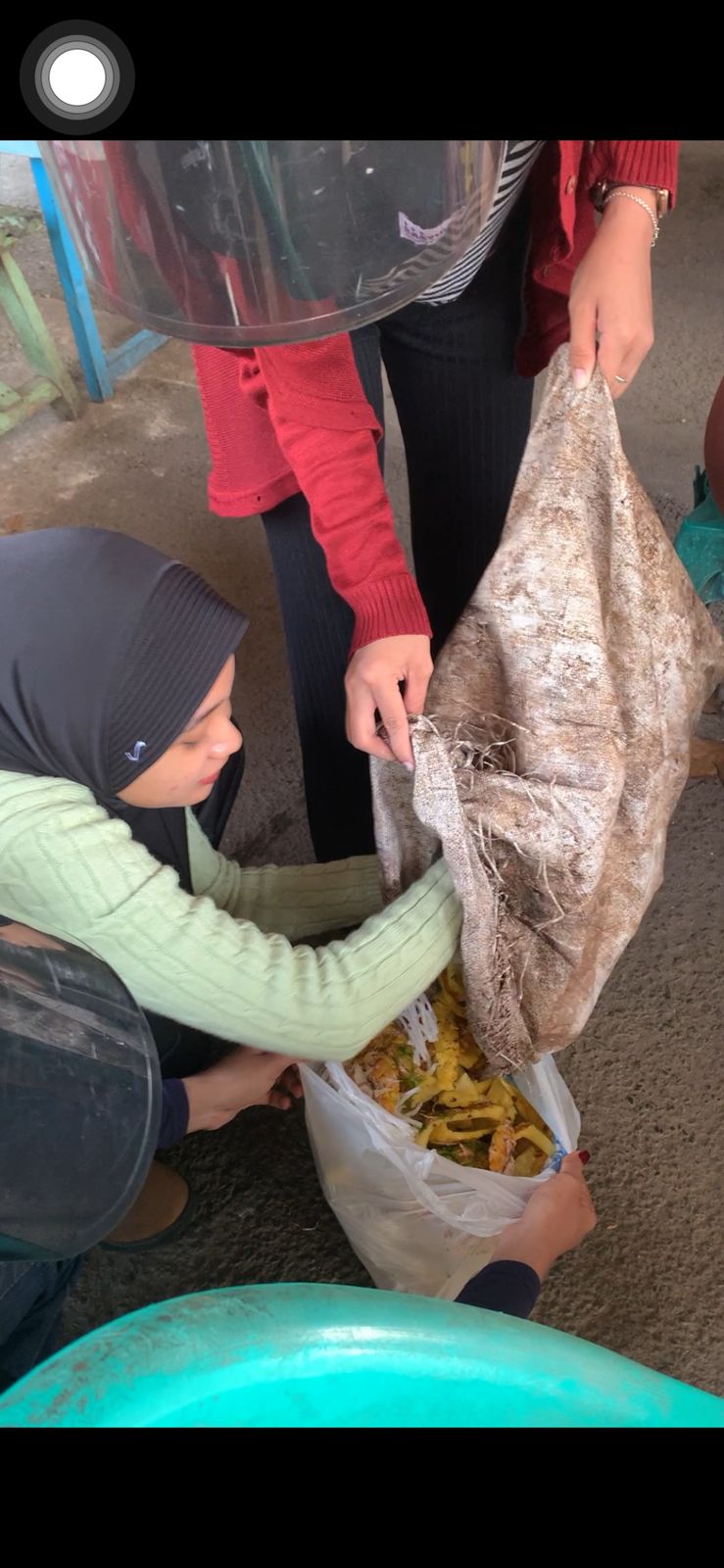 mencari kulit nanas
