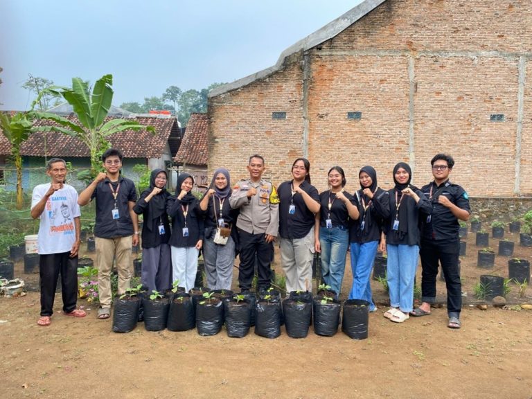 sampul kolang kaling