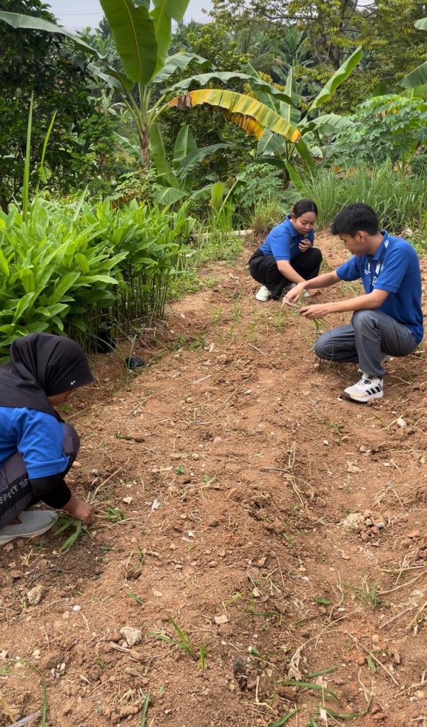 The current image has no alternative text. The file name is: toga-26-juli.jpg