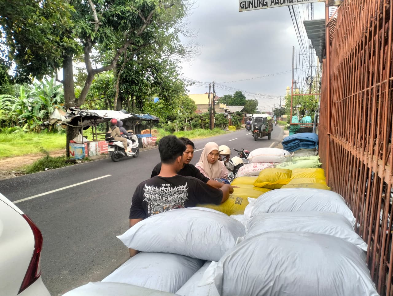 15 jan cari pupuk