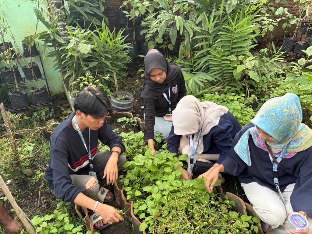 Current image: Pembersihan dan penataan tanaman pada hari pertama revitalisasi Ruang Terbuka Hijau di Kelurahan Way Lunik.