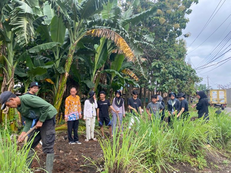 4ebc83d5-a43f-4a1e-bf1b-1b0e9380f93b