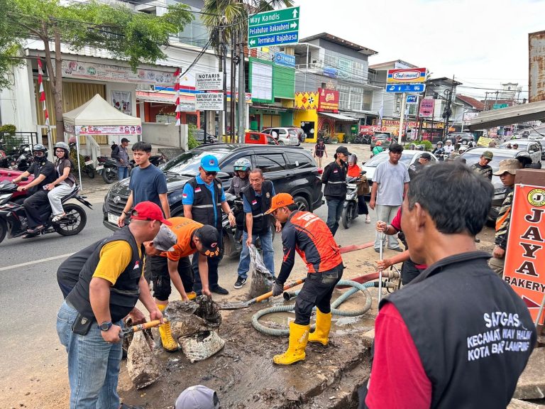 5d8e4e50-f504-46aa-86f4-3f3406d8d162