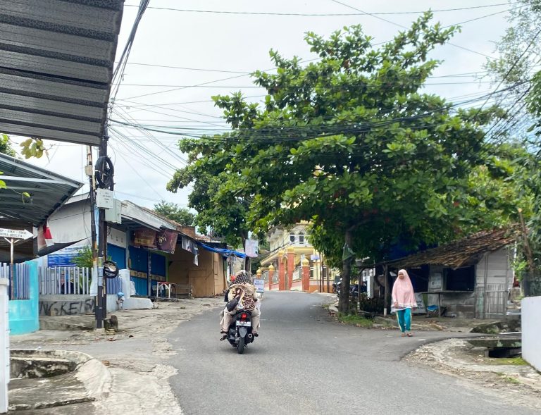 IMG-20260126-WA0011~2