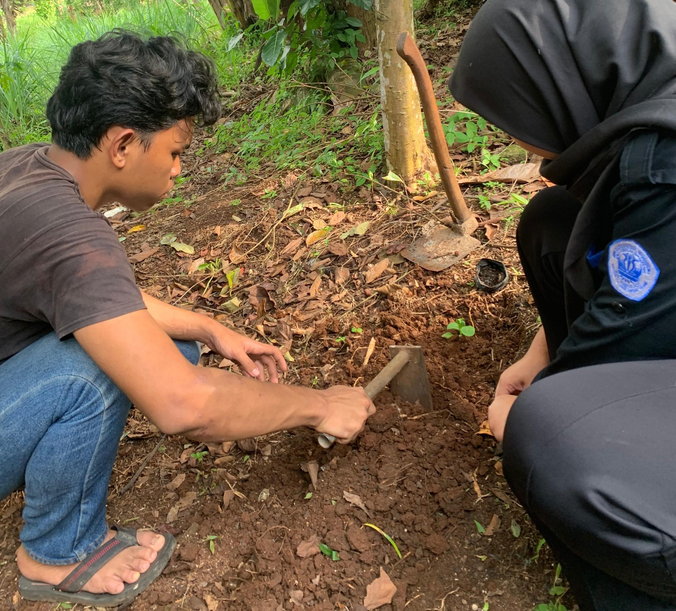 IMG-20260129-WA0032~2