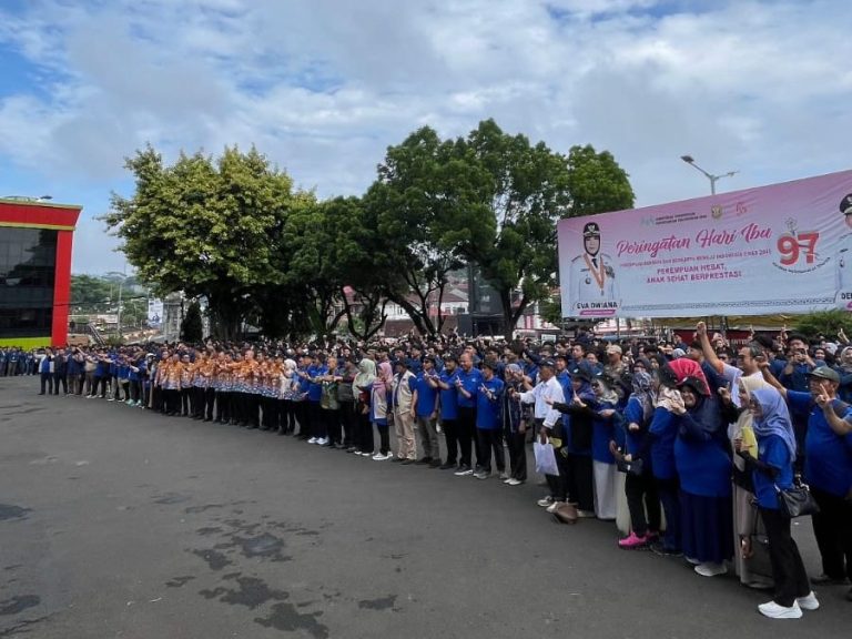 WhatsApp Image 2026-01-09 at 11.51.03