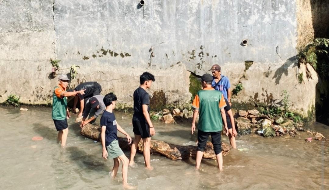 WhatsApp Image 2026-01-11 at 12.54.20