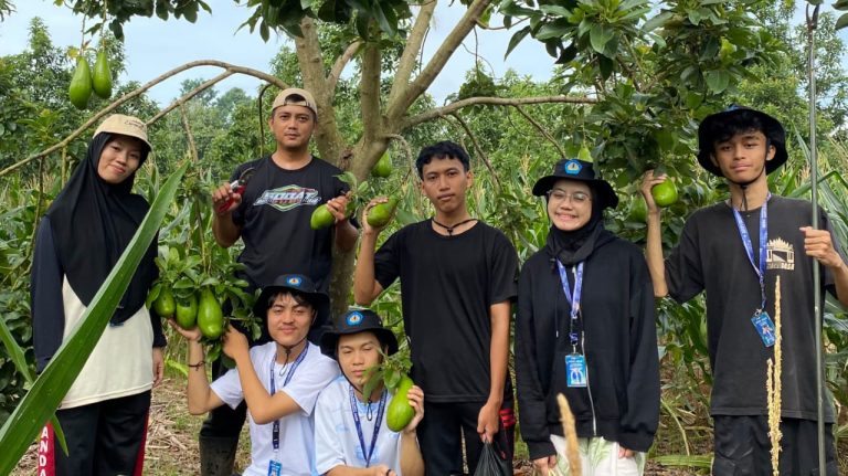 WhatsApp Image 2026-01-11 at 22.26.31