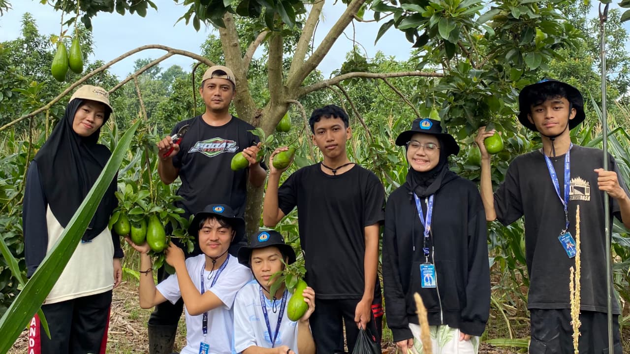 WhatsApp Image 2026-01-11 at 22.26.31