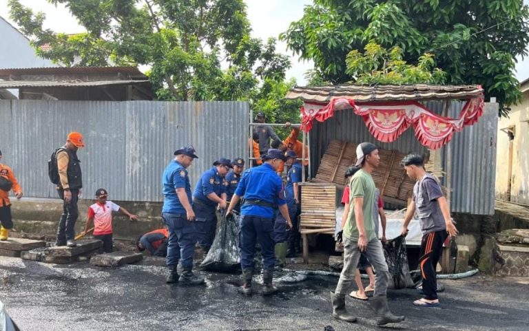 WhatsApp Image 2026-01-12 at 12.18.02