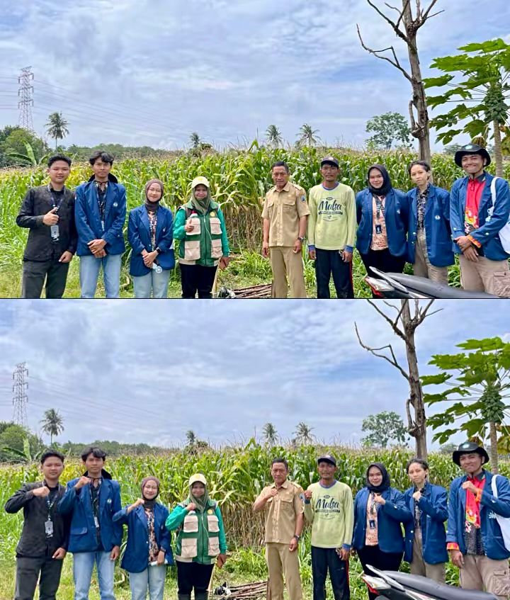 WhatsApp Image 2026-01-13 at 00.09.11