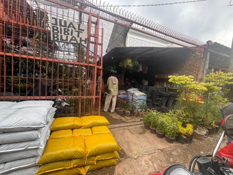 WhatsApp Image 2026-01-13 at 22.04.18