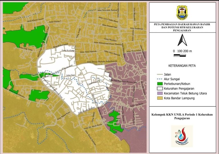 WhatsApp Image 2026-01-14 at 09.19.54