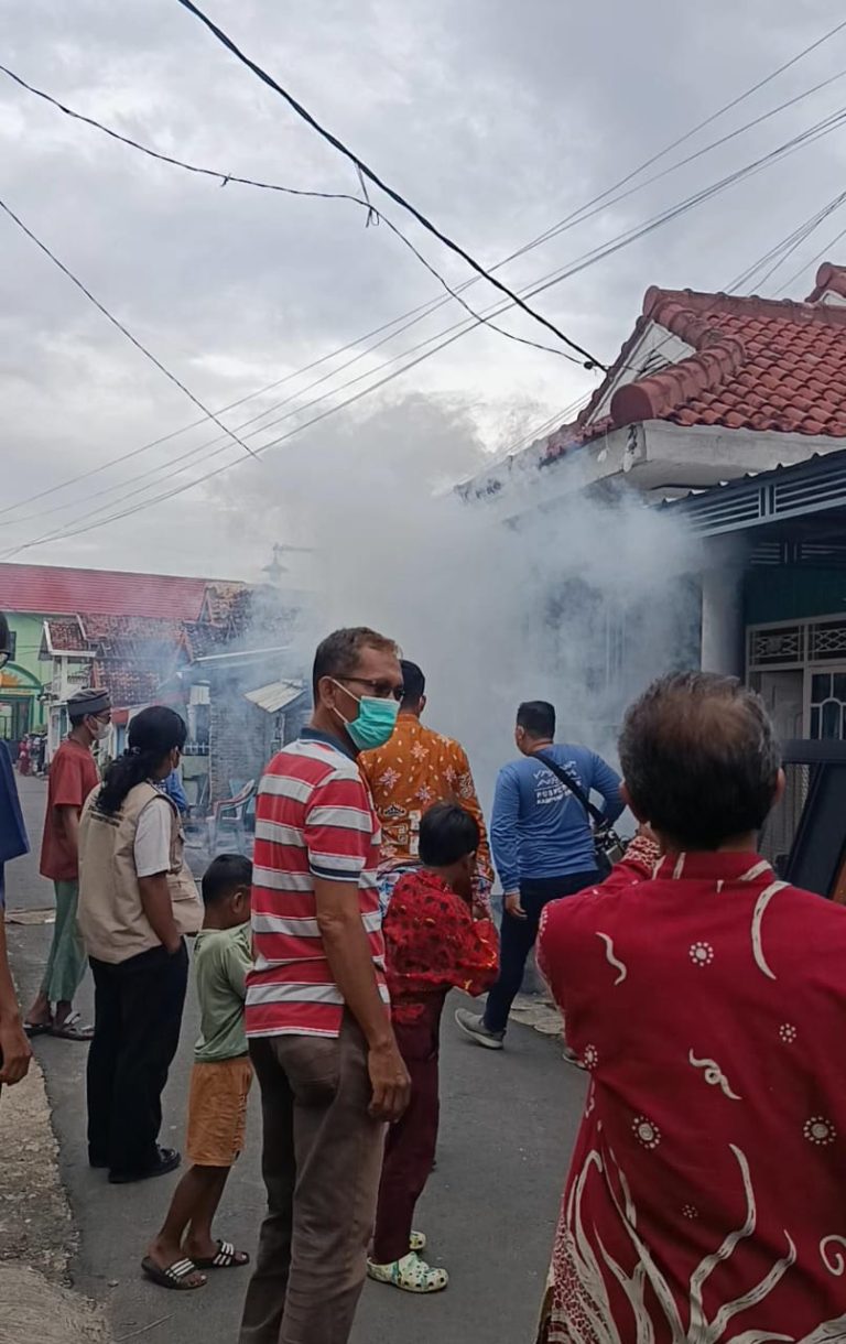 WhatsApp Image 2026-01-15 at 22.26.36