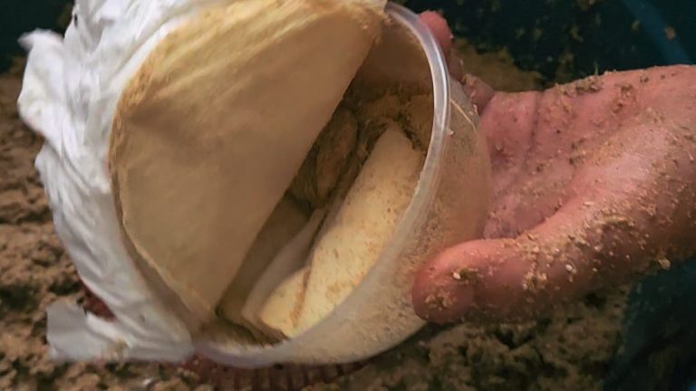 WhatsApp Image 2026-01-15 at 23.22.58