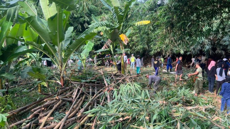 WhatsApp Image 2026-01-16 at 15.26.45