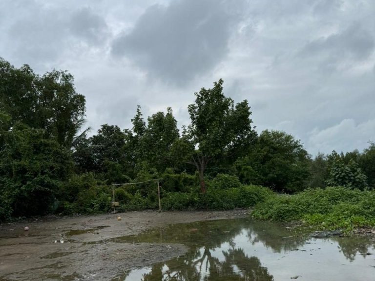 WhatsApp Image 2026-01-17 at 09.43.46