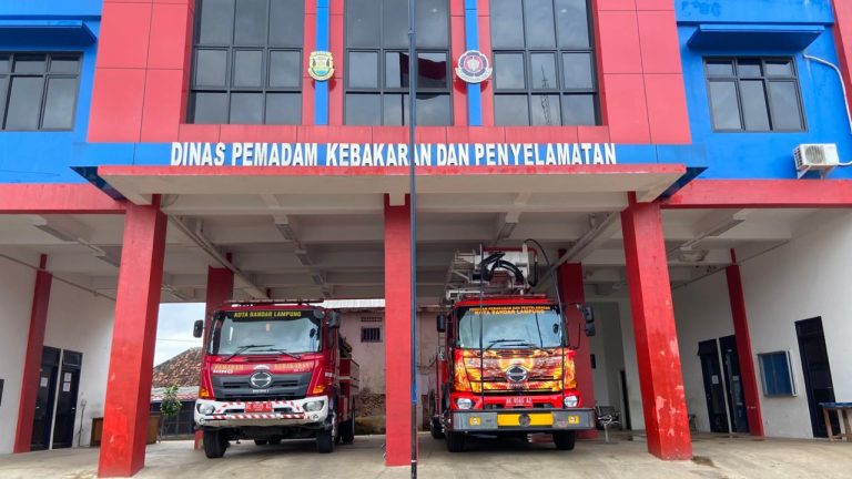 WhatsApp Image 2026-01-17 at 13.09.22