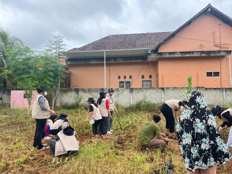 WhatsApp Image 2026-01-17 at 21.54.39