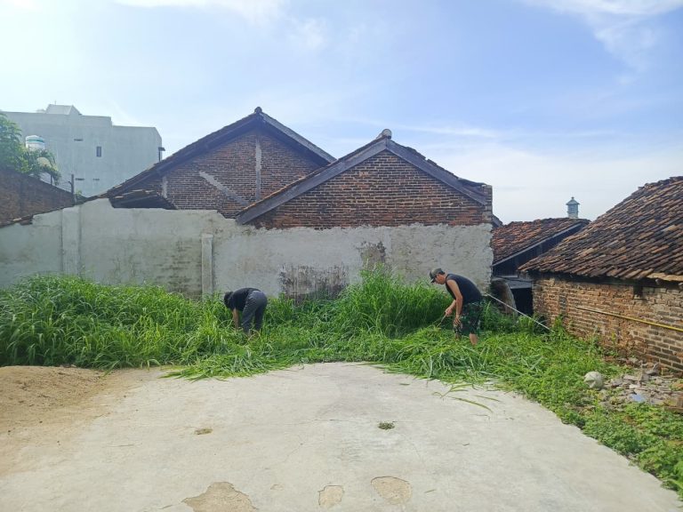 WhatsApp Image 2026-01-18 at 08.55.46