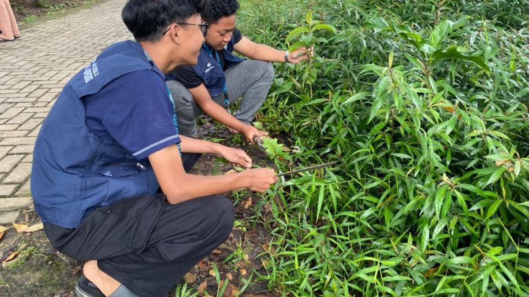 WhatsApp Image 2026-01-18 at 22.54.50