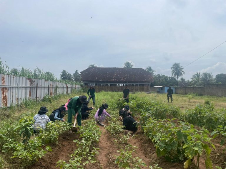 WhatsApp Image 2026-01-18 at 23.27.09