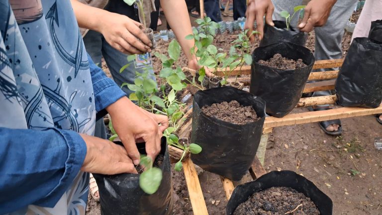 WhatsApp Image 2026-01-20 at 17.29.35