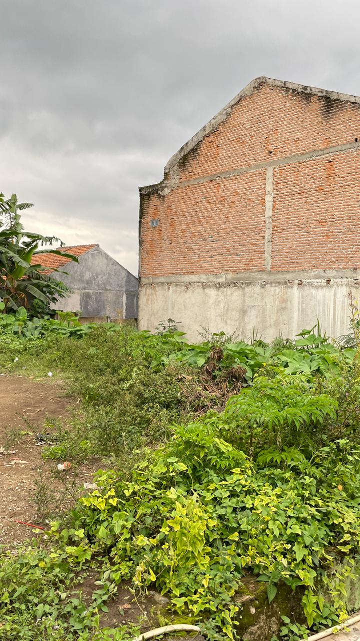 WhatsApp Image 2026-01-20 at 22.06.21