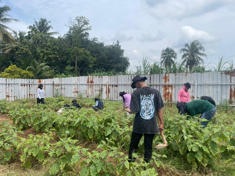 WhatsApp Image 2026-01-21 at 11.42.35