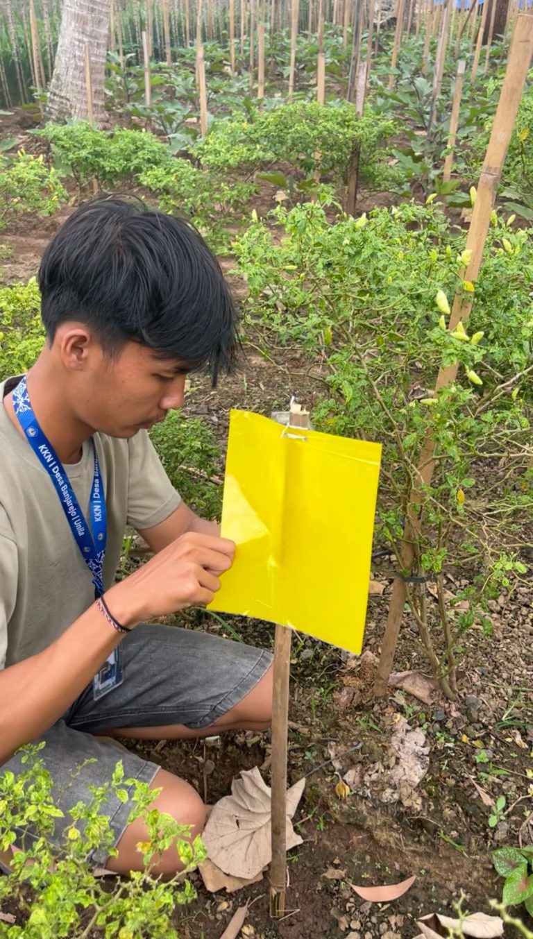 WhatsApp Image 2026-01-21 at 11.53.32 PM