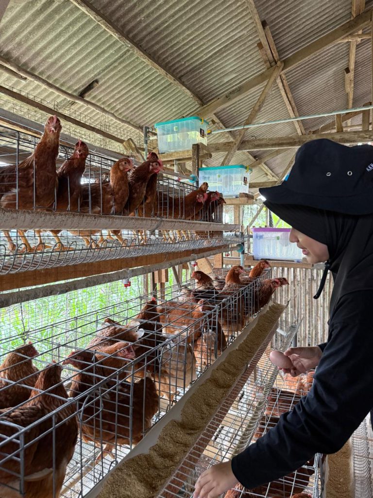 WhatsApp Image 2026-01-21 at 19.41.51