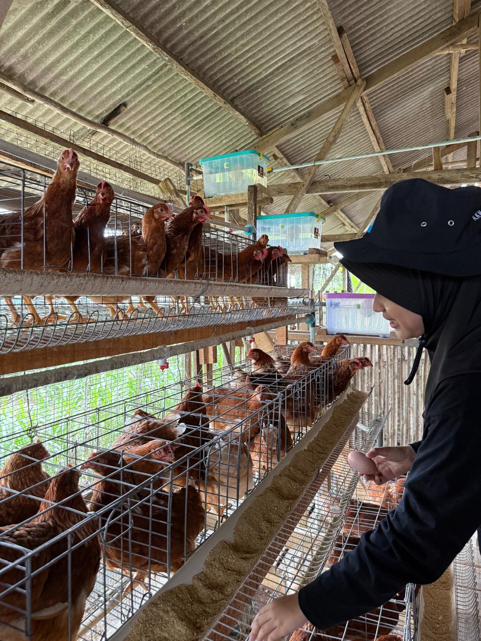 WhatsApp Image 2026-01-21 at 19.41.51