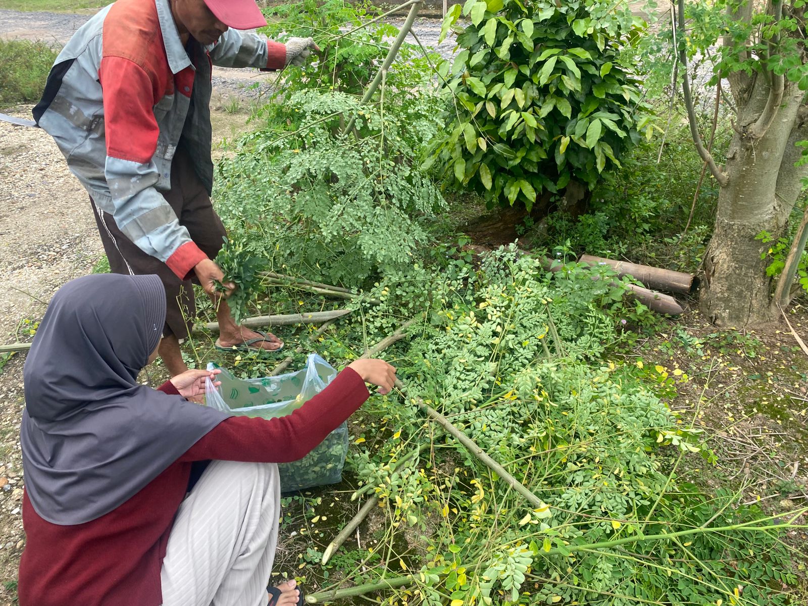 WhatsApp Image 2026-01-21 at 20.57.45