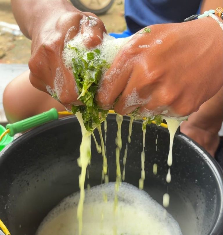 WhatsApp Image 2026-01-21 at 23.44.54