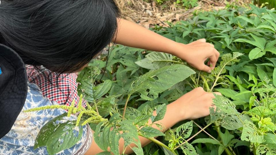 WhatsApp Image 2026-01-21 at 6.37.56 PM