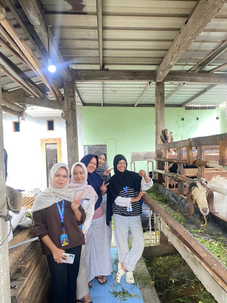 WhatsApp Image 2026-01-22 at 15.42.01