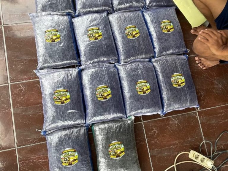 WhatsApp Image 2026-01-22 at 18.03.37 (1)