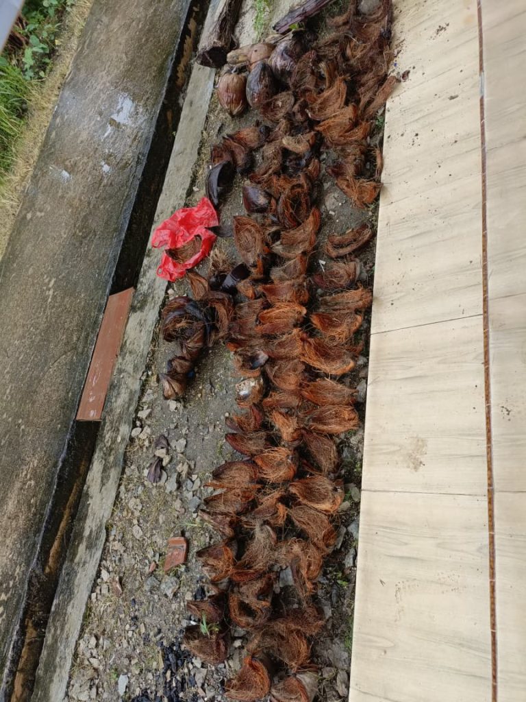 WhatsApp Image 2026-01-23 at 20.24.54