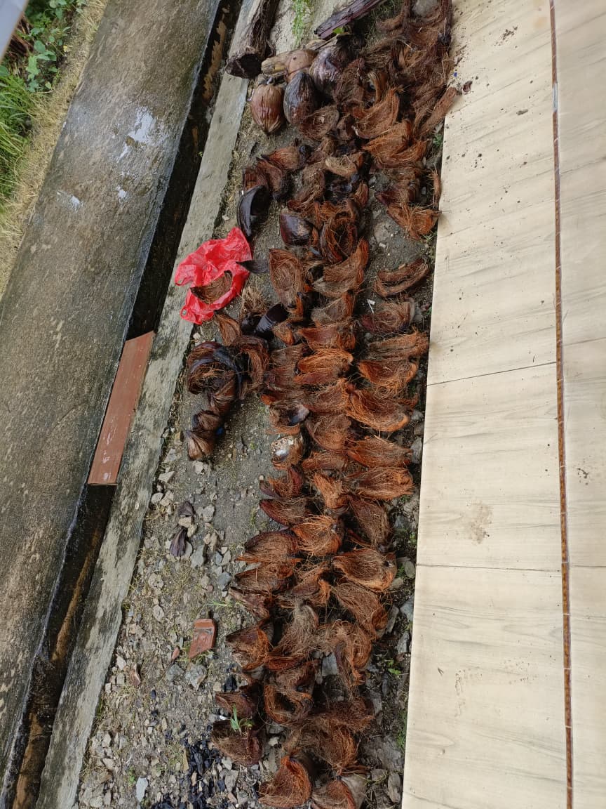 WhatsApp Image 2026-01-23 at 20.24.54